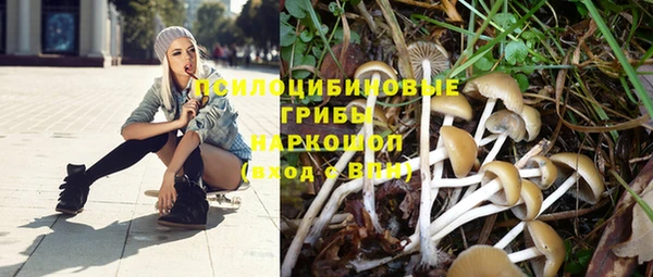 2c-b Балабаново