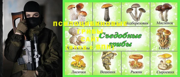спайс Баксан