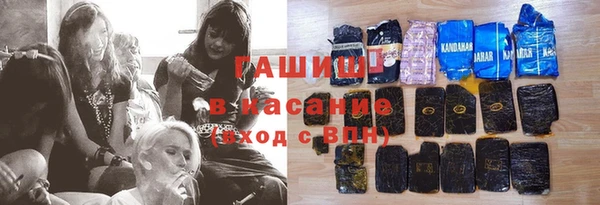 индика Балахна