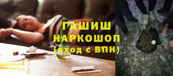индика Балахна